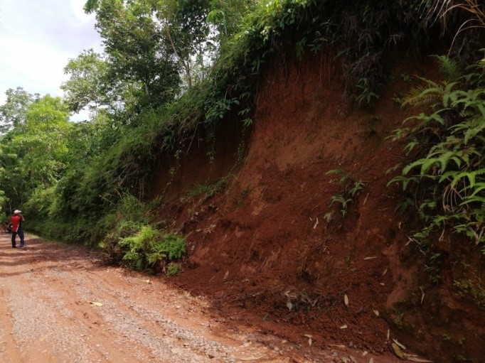 Steep roadcuts were observed along a road segment in Purok Camarin, Brgy. Malocloc Norte, Ivisan, Capiz with moderate to steep slopes.  The road is prone to mass movement, and the area is classified as having moderate to high landslide susceptibility.